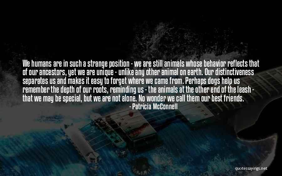 Remember You Are Special Quotes By Patricia McConnell Remember You Are Special Quotes By Patricia McConnell