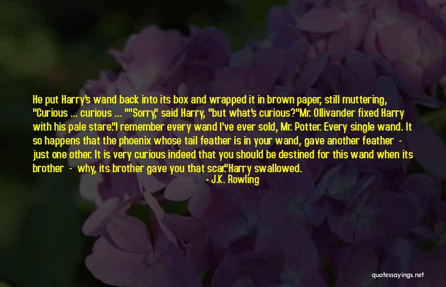 Remember Your Why Quotes By J.K. Rowling Remember Your Why Quotes By J.K. Rowling