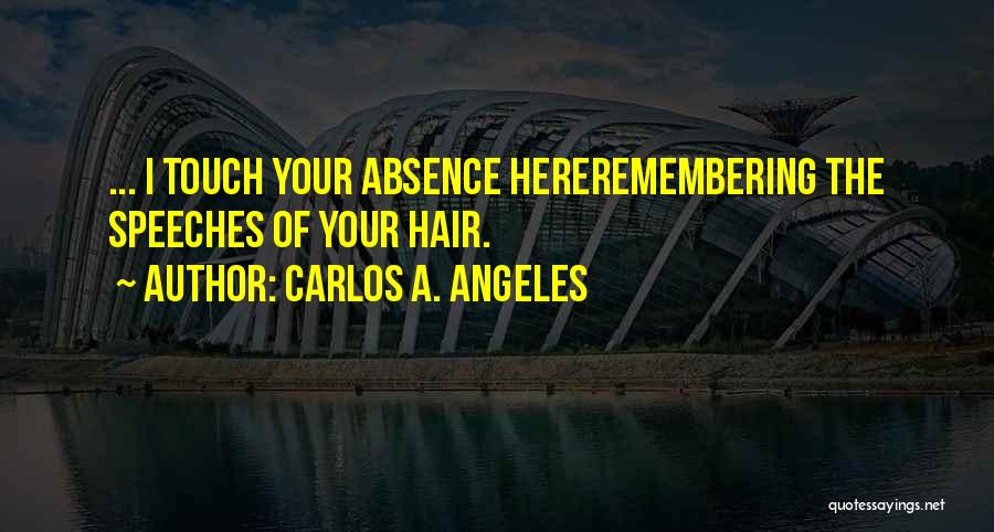 Remembering 9/11 Quotes By Carlos A. Angeles