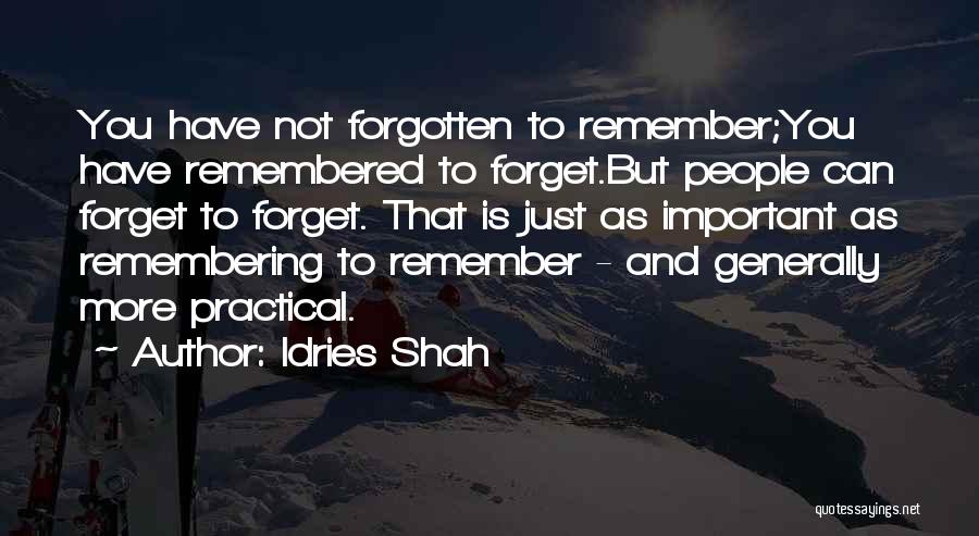 Remembering Important Things Quotes By Idries Shah