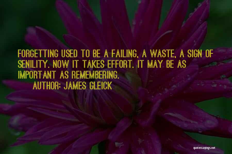 Remembering Important Things Quotes By James Gleick