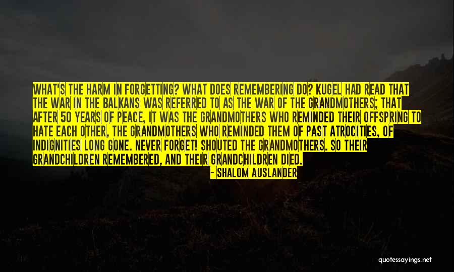 Remembering Someone Died Quotes By Shalom Auslander Remembering Someone Died Quotes By Shalom Auslander