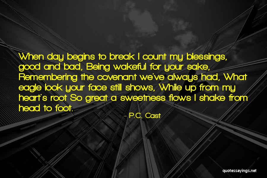 Remembering The Bad Past Quotes By P.C. Cast Remembering The Bad Past Quotes By P.C. Cast