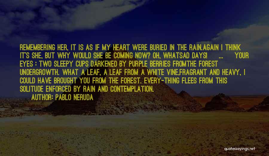 Remembering The Days Quotes By Pablo Neruda