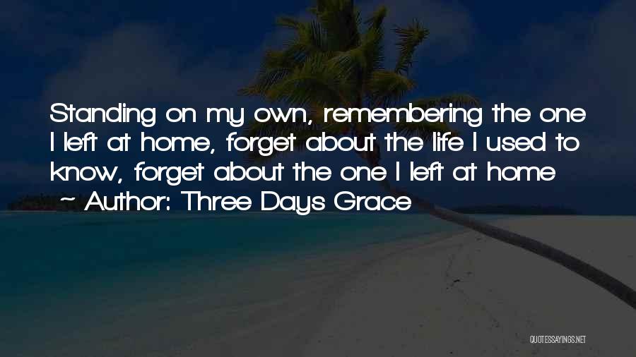 Remembering The Days Quotes By Three Days Grace