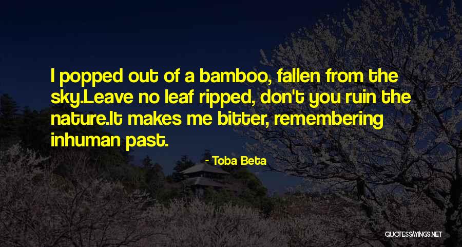 Remembering The Fallen Quotes By Toba Beta Remembering The Fallen Quotes By Toba Beta