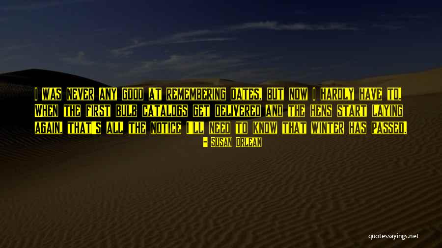 Remembering Those Who Have Passed Quotes By Susan Orlean Remembering Those Who Have Passed Quotes By Susan Orlean