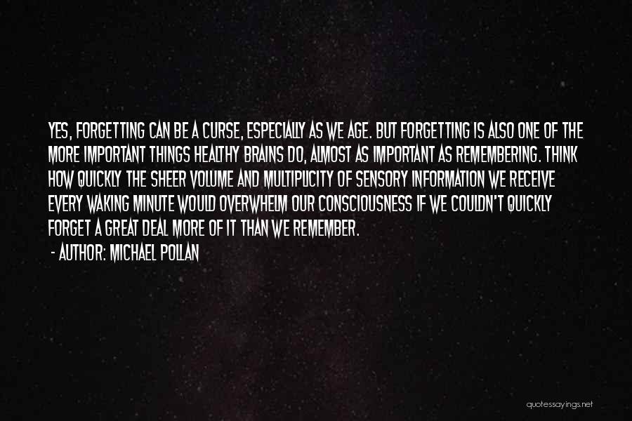 Remembering What's Important Quotes By Michael Pollan