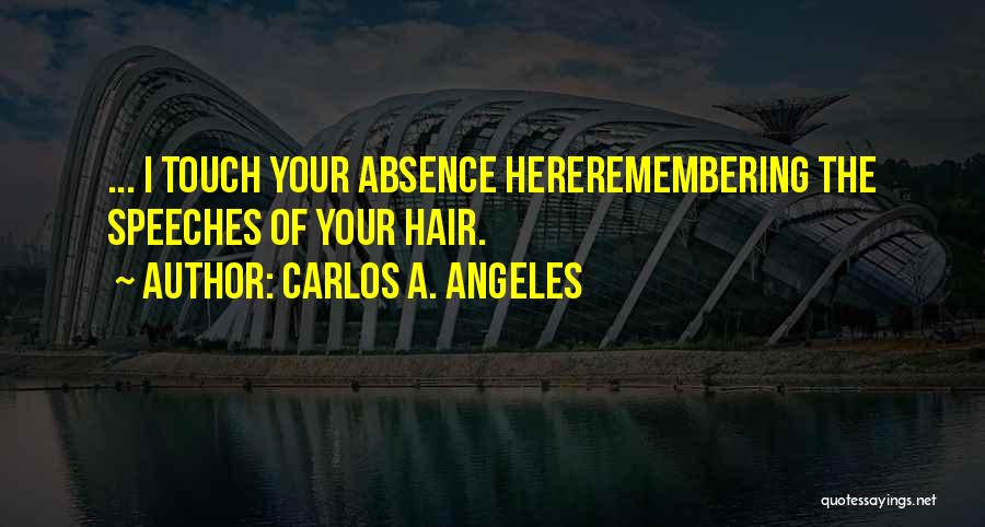 Remembering Who Was There For You Quotes By Carlos A. Angeles