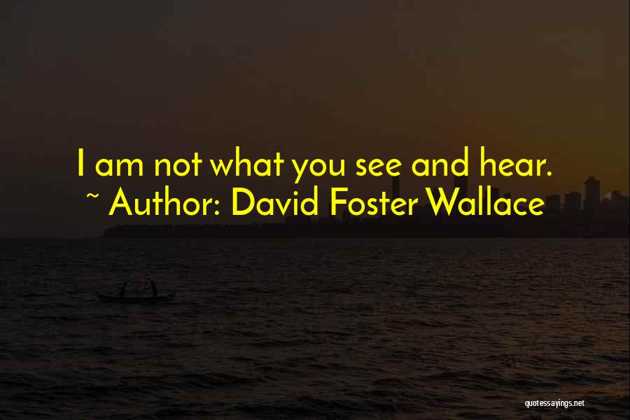 Remembrance Day Sayings And Quotes By David Foster Wallace