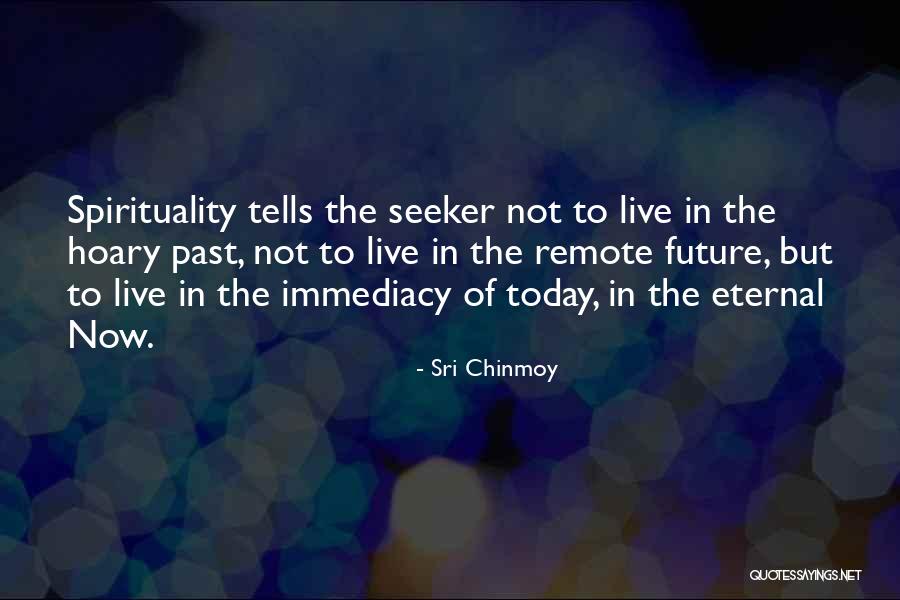 Remeter Quotes By Sri Chinmoy Remeter Quotes By Sri Chinmoy