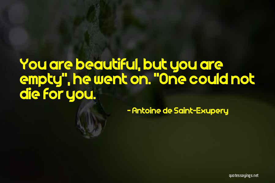 Remfry Silver Quotes By Antoine De Saint-Exupery Remfry Silver Quotes By Antoine De Saint-Exupery