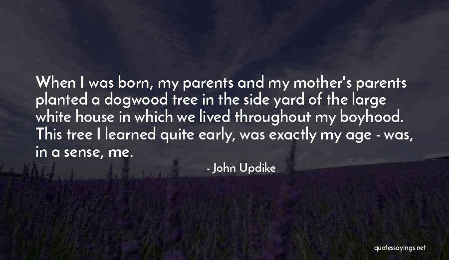 Remilgos Quotes By John Updike Remilgos Quotes By John Updike