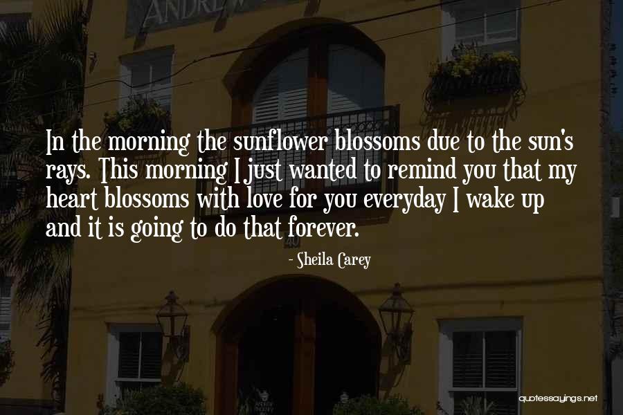 Remind Love Quotes By Sheila Carey Remind Love Quotes By Sheila Carey