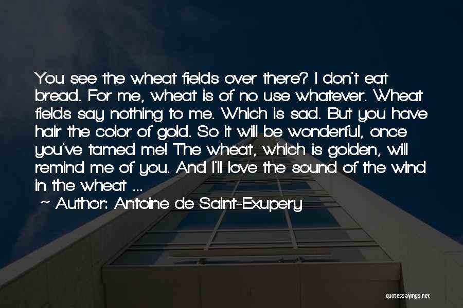 Remind Me You Love Me Quotes By Antoine De Saint-Exupery