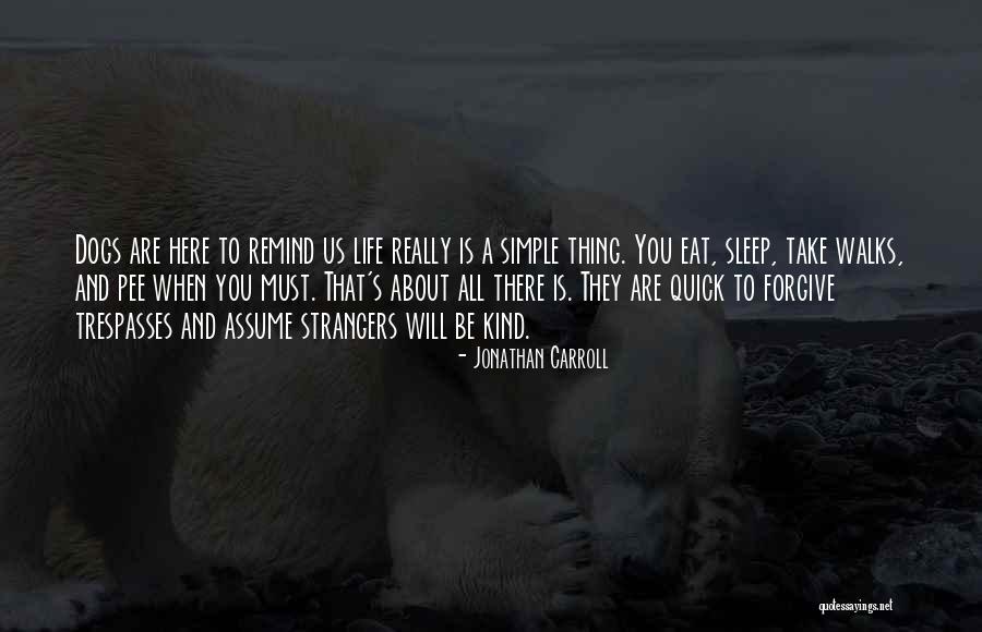 Remind You Quotes By Jonathan Carroll Remind You Quotes By Jonathan Carroll