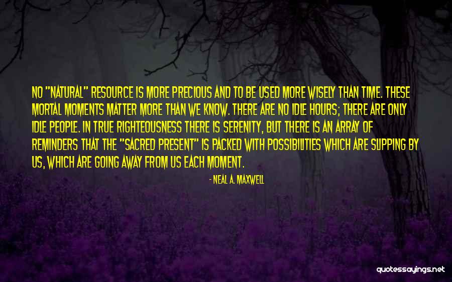 Reminders Quotes By Neal A. Maxwell