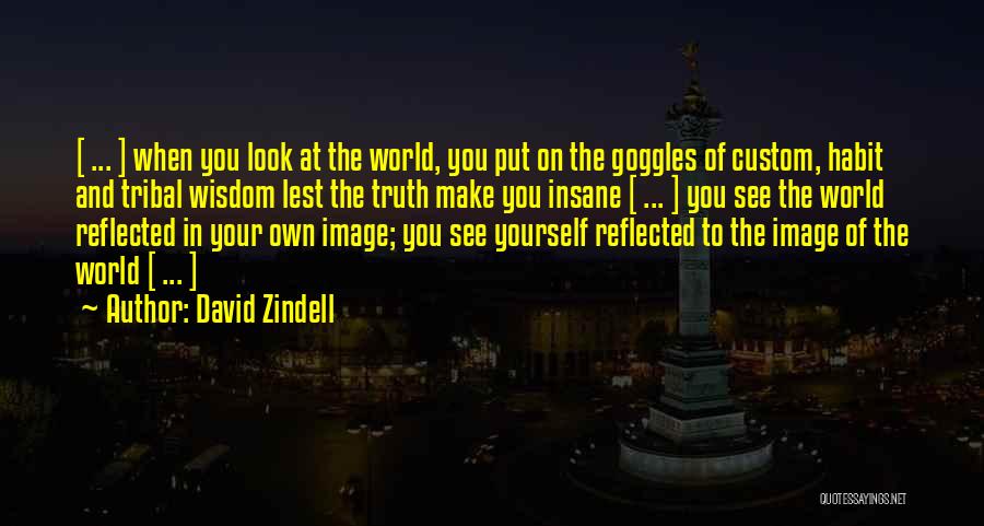 Reminding Yourself Quotes By David Zindell