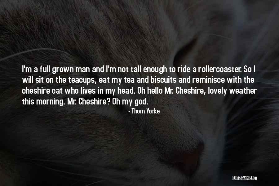 Reminisce The Past Quotes By Thom Yorke Reminisce The Past Quotes By Thom Yorke