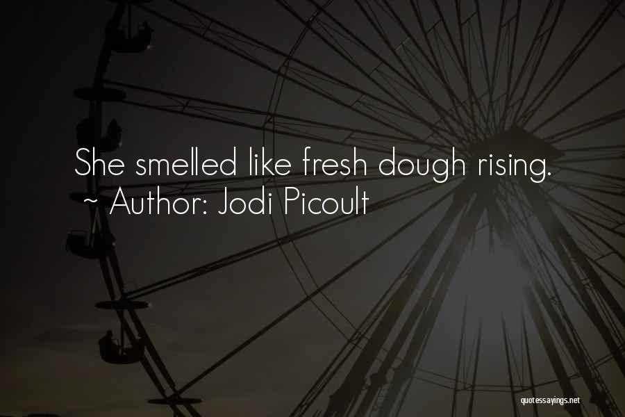 Reminiscence Quotes By Jodi Picoult