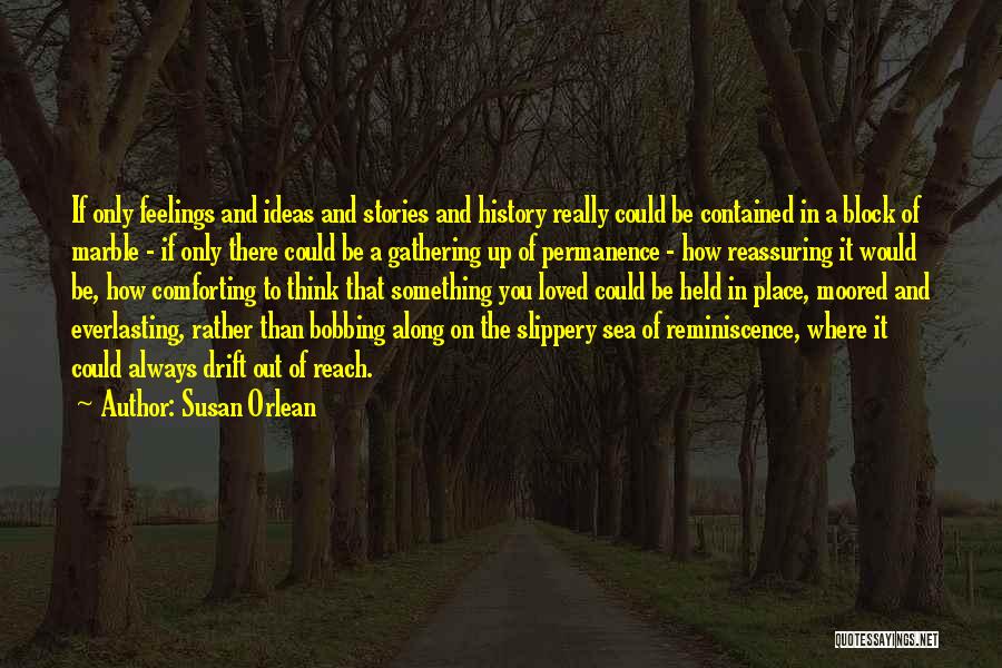 Reminiscence Quotes By Susan Orlean