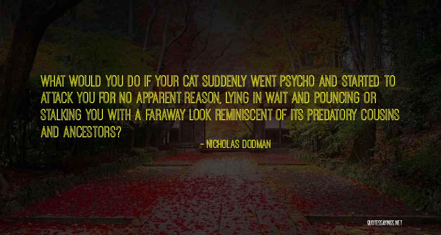 Reminiscent Of Quotes By Nicholas Dodman Reminiscent Of Quotes By Nicholas Dodman