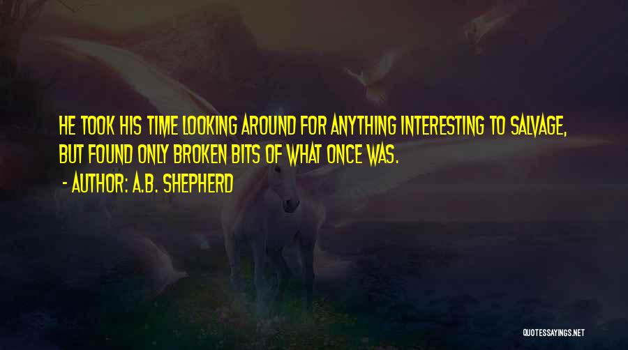 Reminiscing The Past Quotes By A.B. Shepherd