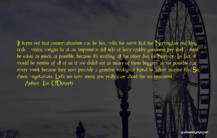 Remiss Quotes By Ian O'Doherty