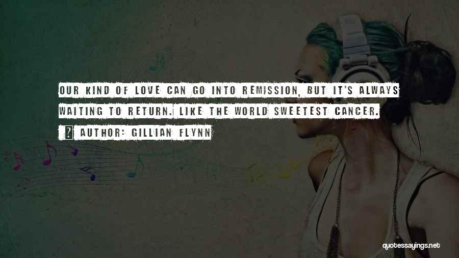 Remission Quotes By Gillian Flynn