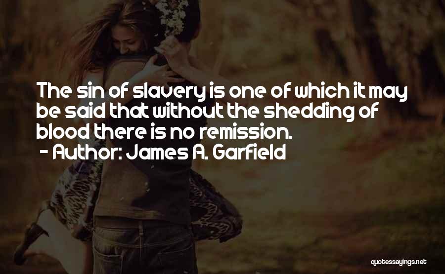 Remission Quotes By James A. Garfield