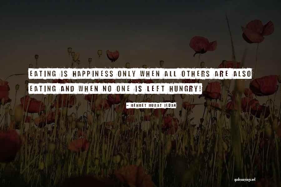 Remkes Taylor Quotes By Mehmet Murat Ildan