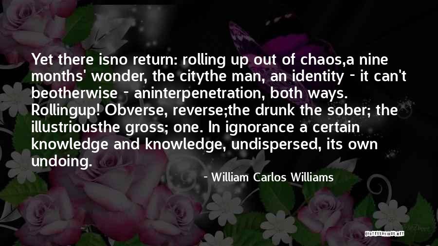 Remmert Funeral Quotes By William Carlos Williams Remmert Funeral Quotes By William Carlos Williams