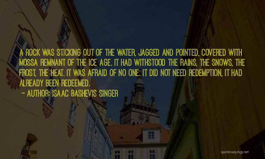 Remnant Quotes By Isaac Bashevis Singer
