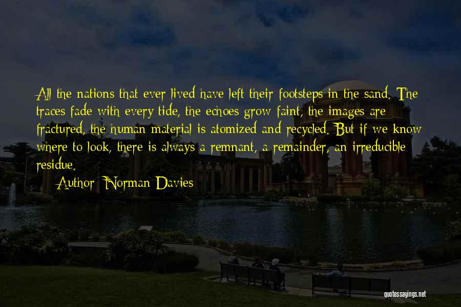 Remnant Quotes By Norman Davies