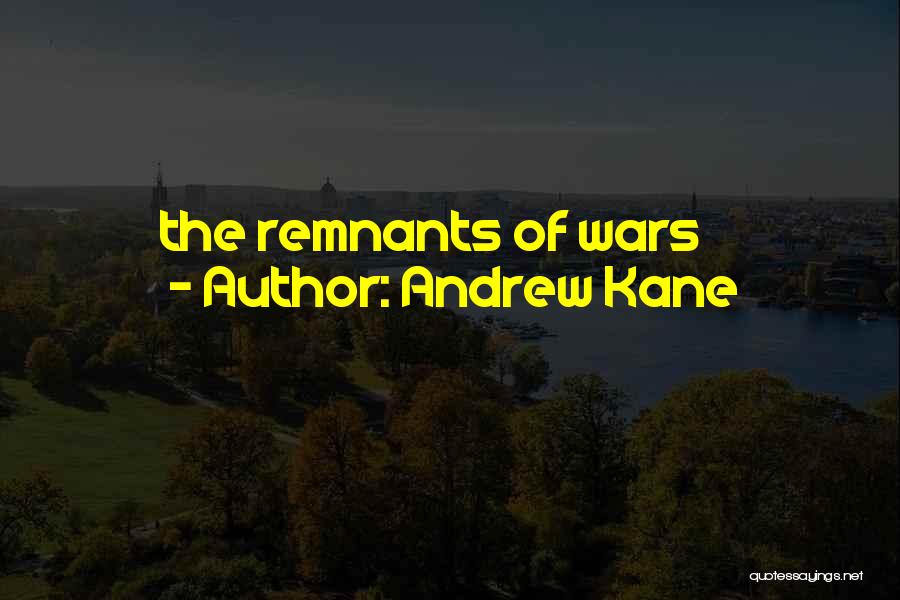 Remnants Quotes By Andrew Kane