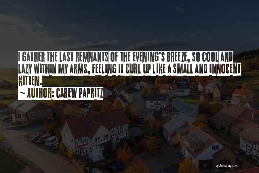 Remnants Quotes By Carew Papritz