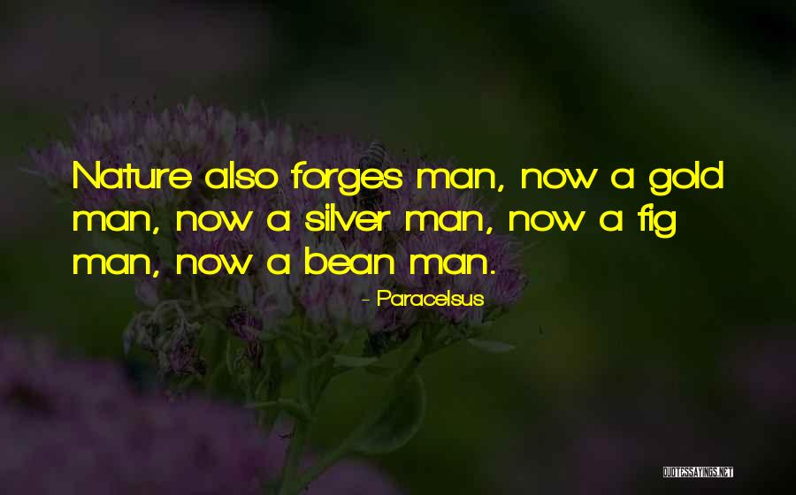 Remodeled Campers Quotes By Paracelsus Remodeled Campers Quotes By Paracelsus