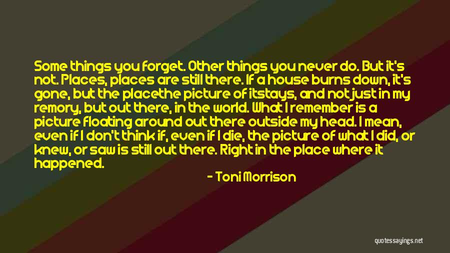 Remory Quotes By Toni Morrison Remory Quotes By Toni Morrison
