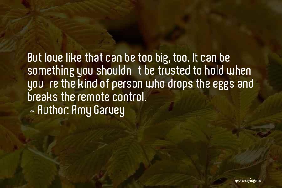 Remote Control Quotes By Amy Garvey