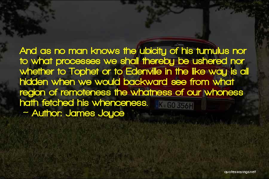 Remoteness Quotes By James Joyce