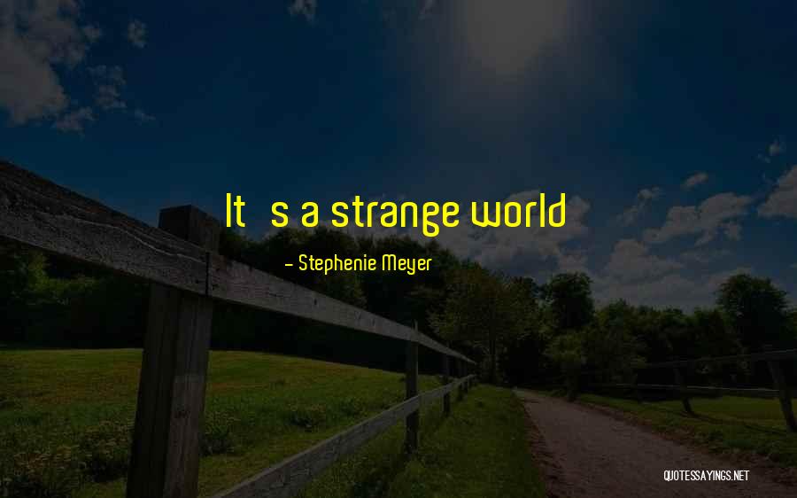 Remoulded Tyre Quotes By Stephenie Meyer