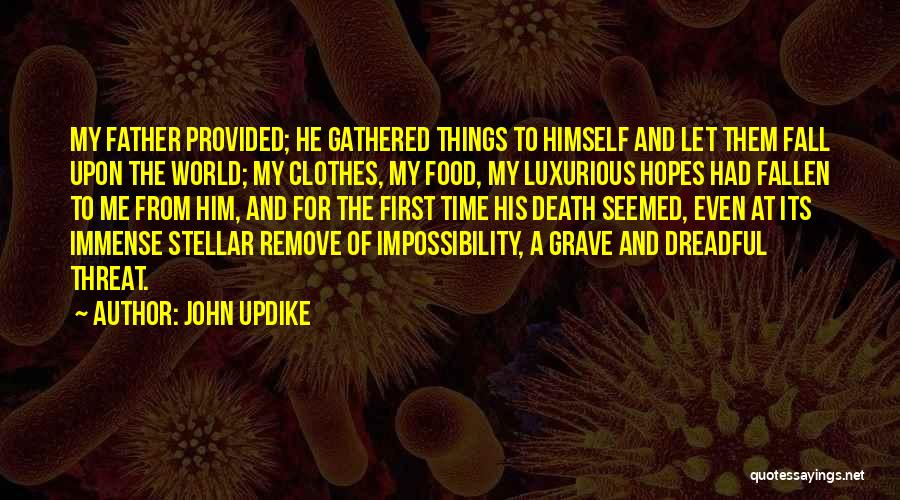 Remove Clothes Quotes By John Updike