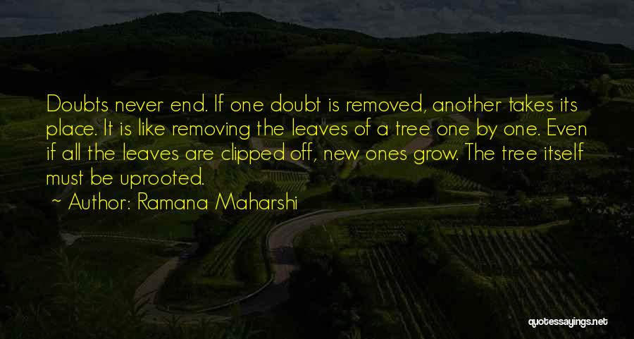 Removing Doubt Quotes By Ramana Maharshi