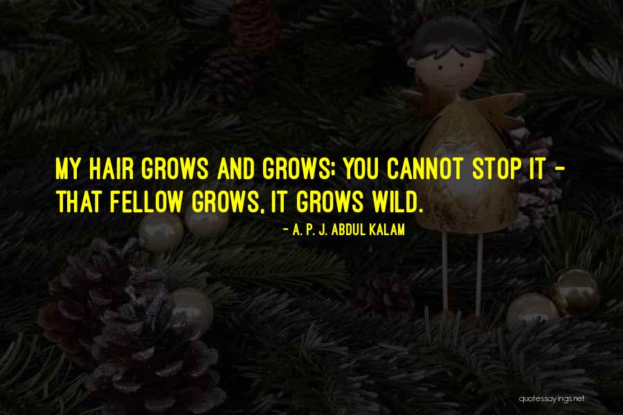 Remsberg Erika Quotes By A. P. J. Abdul Kalam Remsberg Erika Quotes By A. P. J. Abdul Kalam
