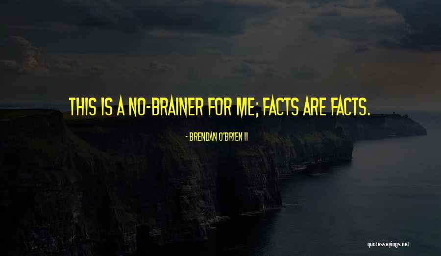Remue Meninge Quotes By Brendan O'Brien II