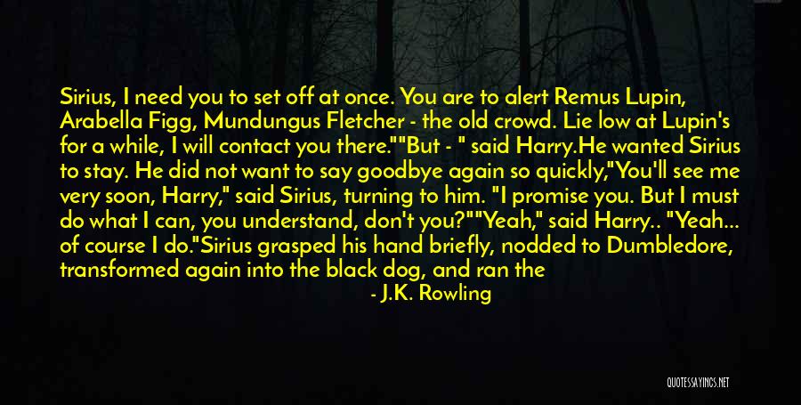Remus X Sirius Quotes By J.K. Rowling Remus X Sirius Quotes By J.K. Rowling