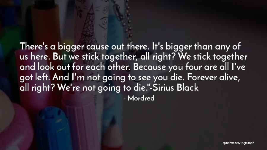 Remus X Sirius Quotes By Mordred Remus X Sirius Quotes By Mordred