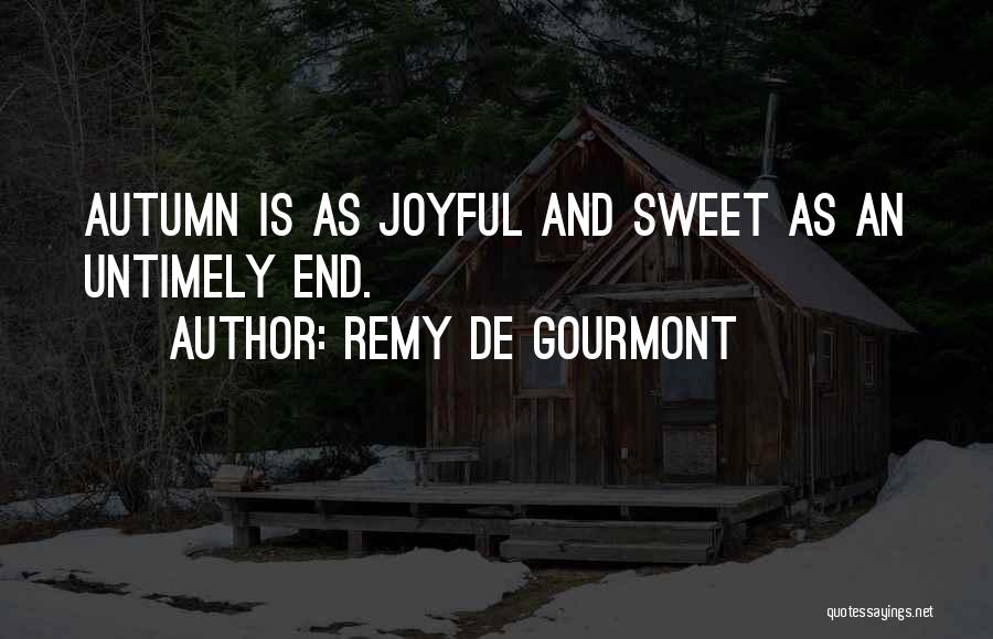 Remy De Gourmont Quotes 1638090
