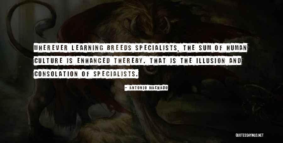 Remys Quotes By Antonio Machado Remys Quotes By Antonio Machado