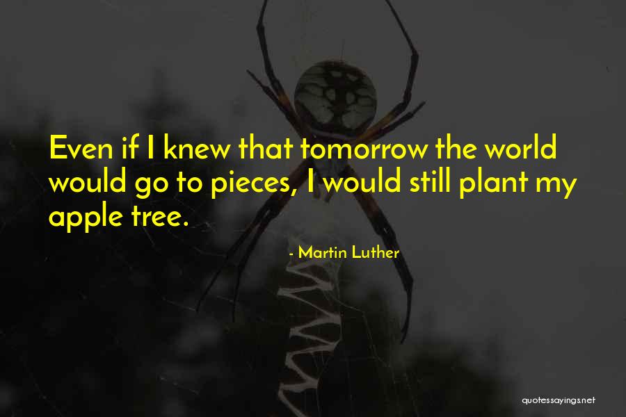 Renaissance Aruba Quotes By Martin Luther Renaissance Aruba Quotes By Martin Luther